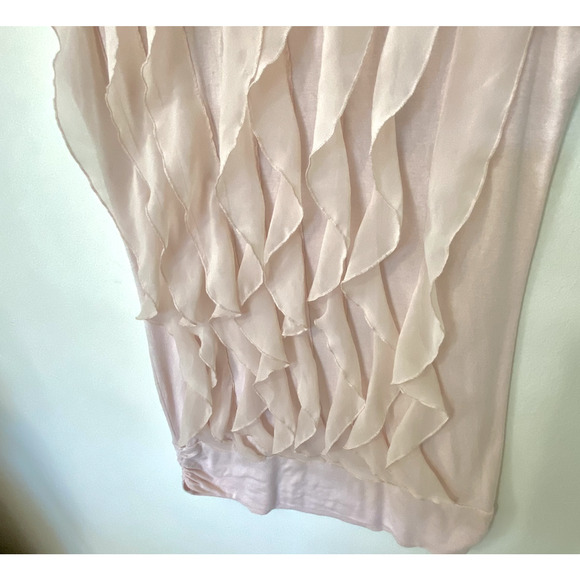 Kenar Blush Light Pink Sleeveless Victorian Ruffle Front Mock Neck Blouse Small - Picture 6 of 9